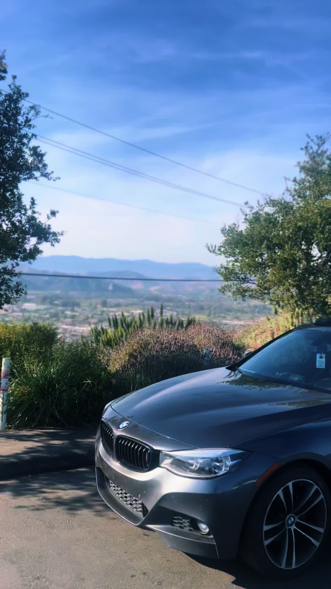 @cruisingwithlexi