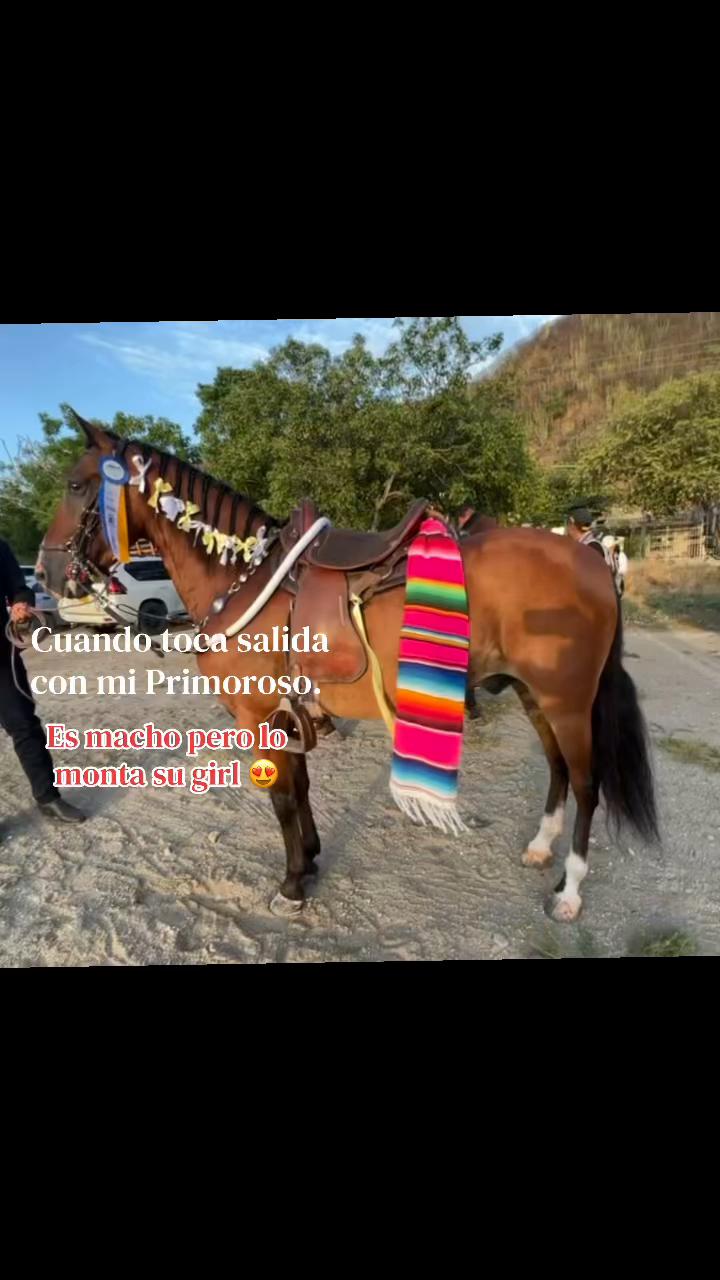 @✨ S&bull;t&bull;h&bull;e&bull;r ✨