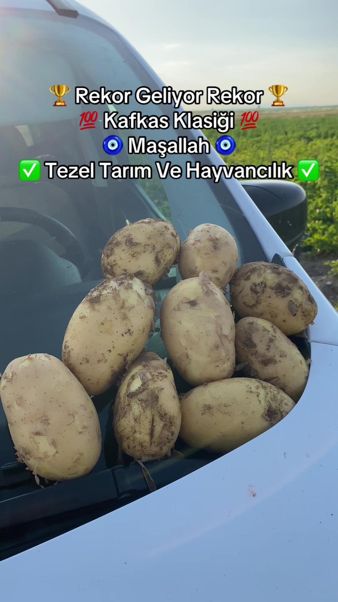 @𝐎𝐬𝐦𝐚𝐧  𝐓𝐞𝐳𝐞𝐥