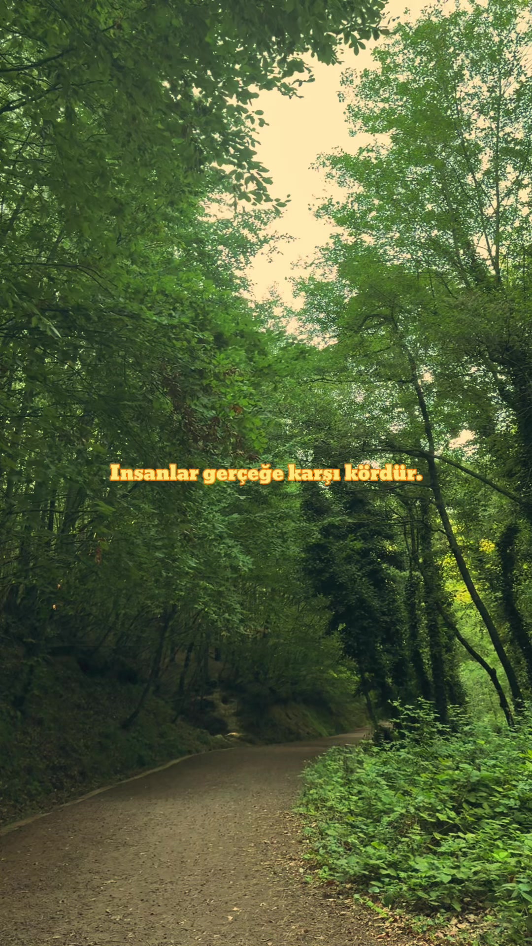 @travelerbedir