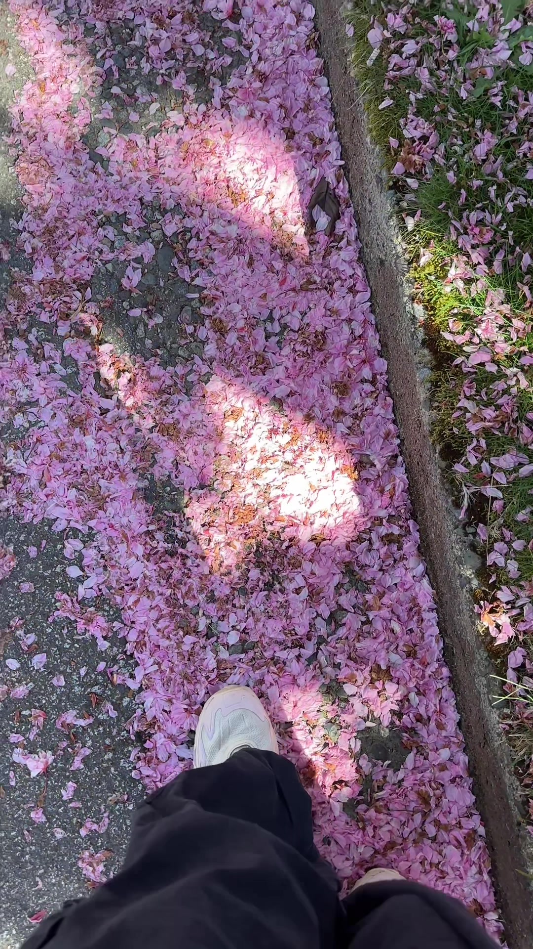 @__.uuii.__