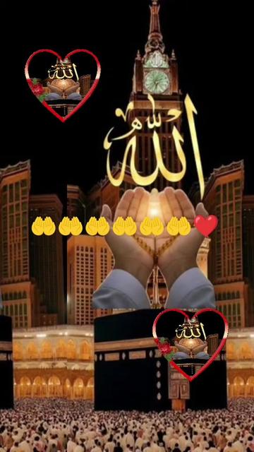 @alameenmea