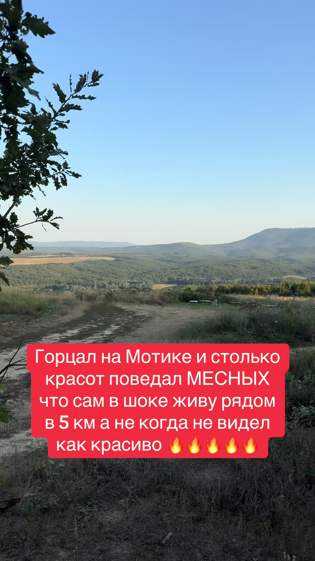 @СЕРЫЙ ГАГРИС