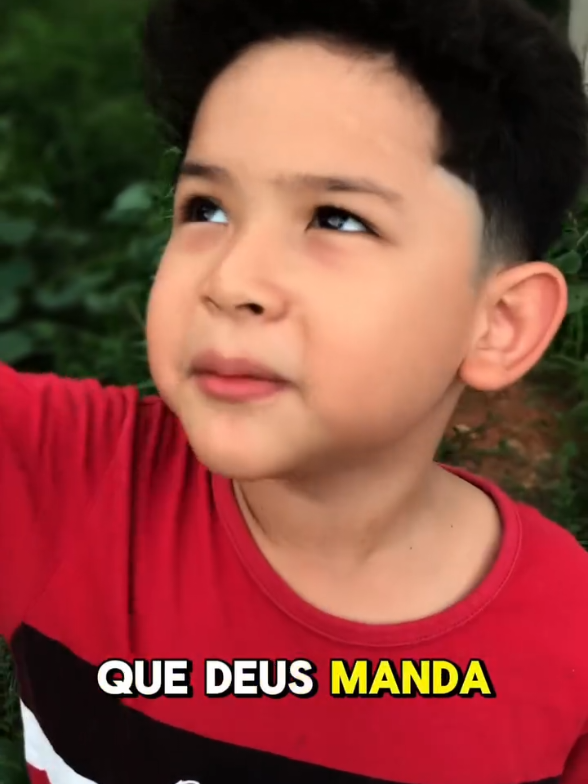 @Davi Lima