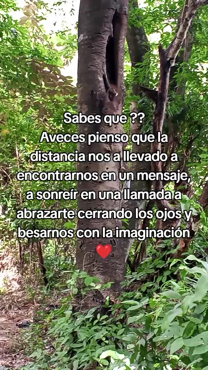 @lluvia 💫