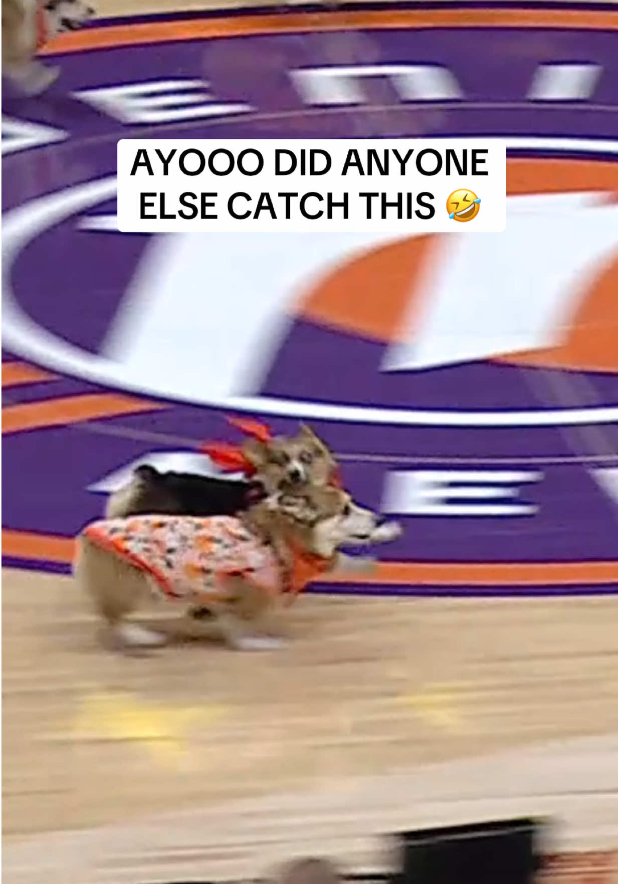 @Phoenix Mercury