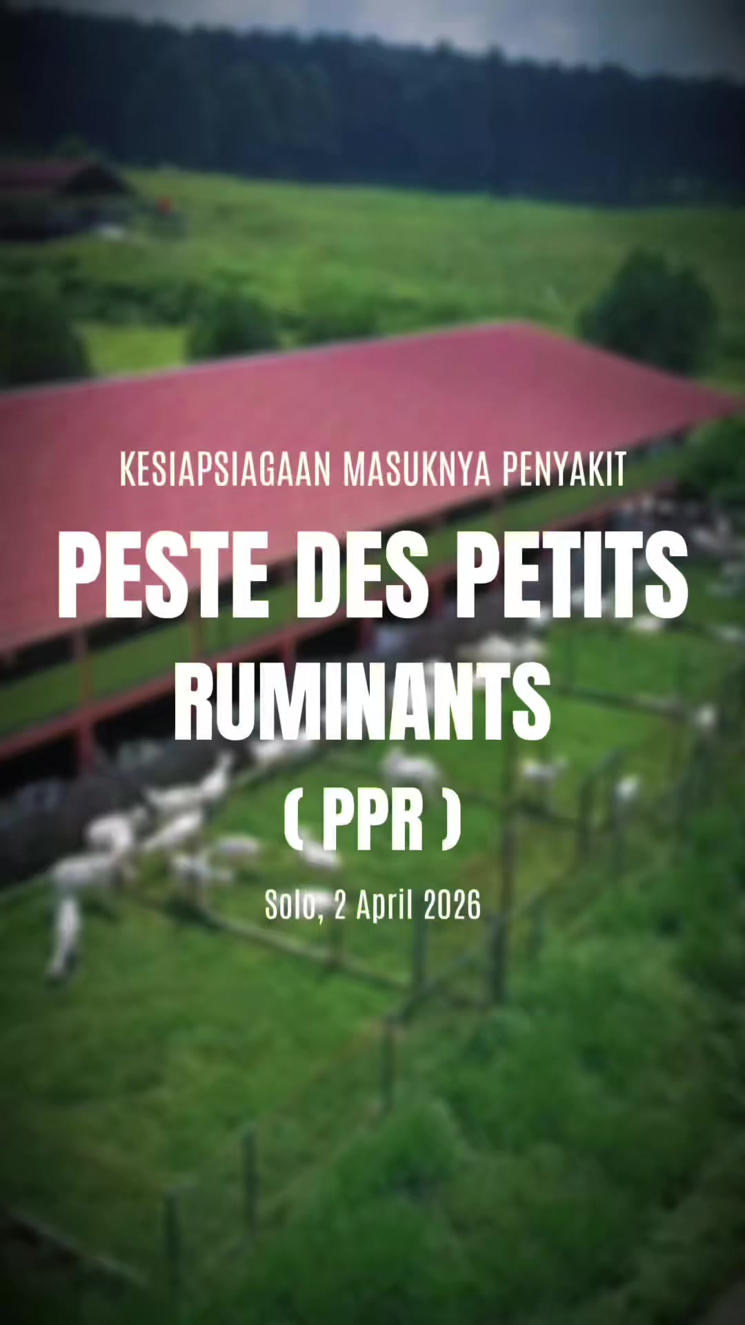@Direktorat Kesehatan Hewan