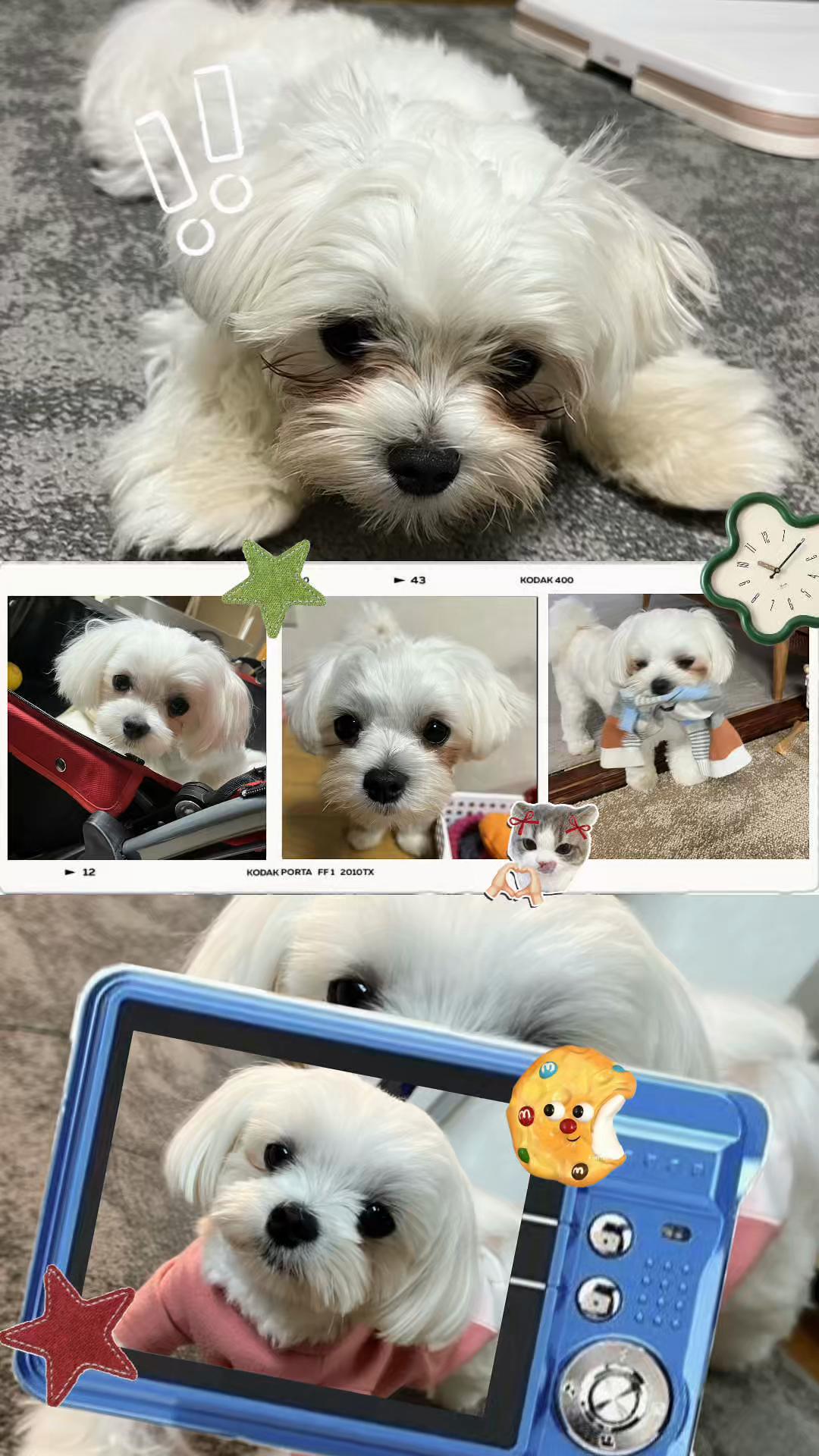 @Yuka🐈&zwj;⬛🩶