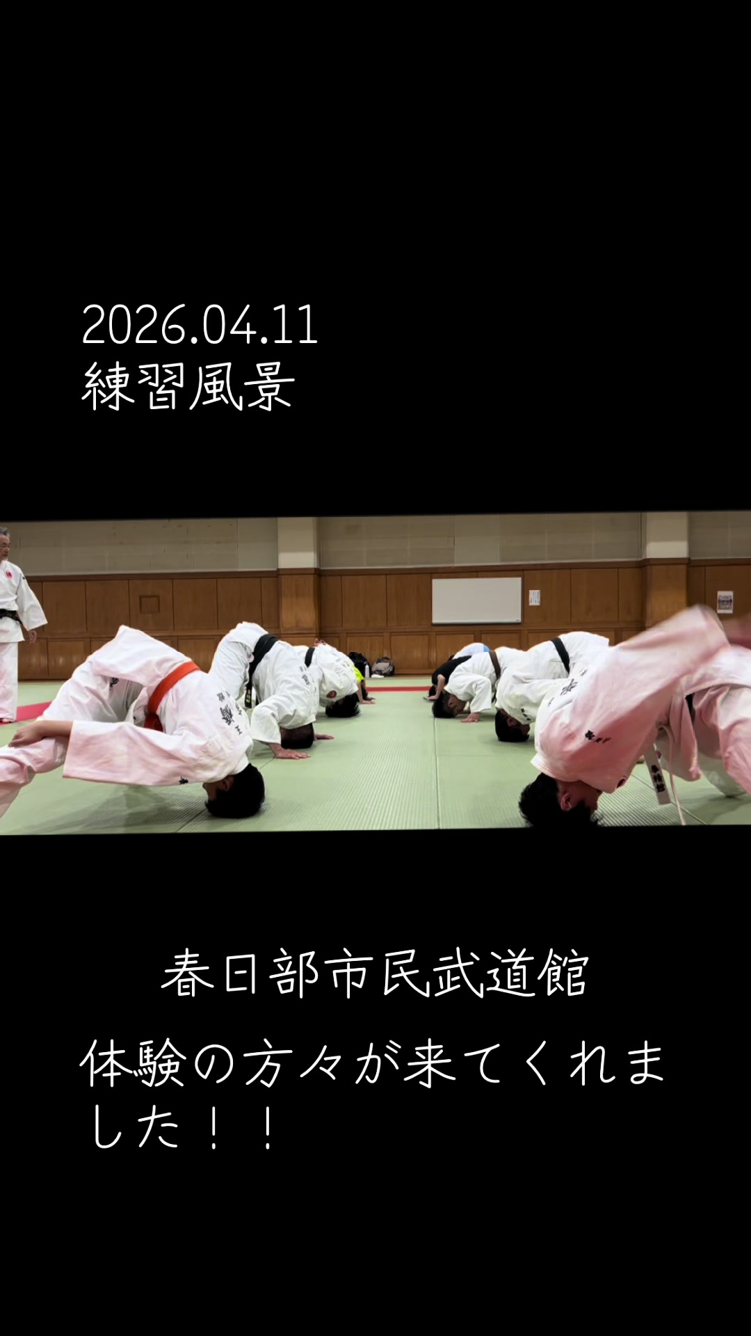 @日本拳法拳精館