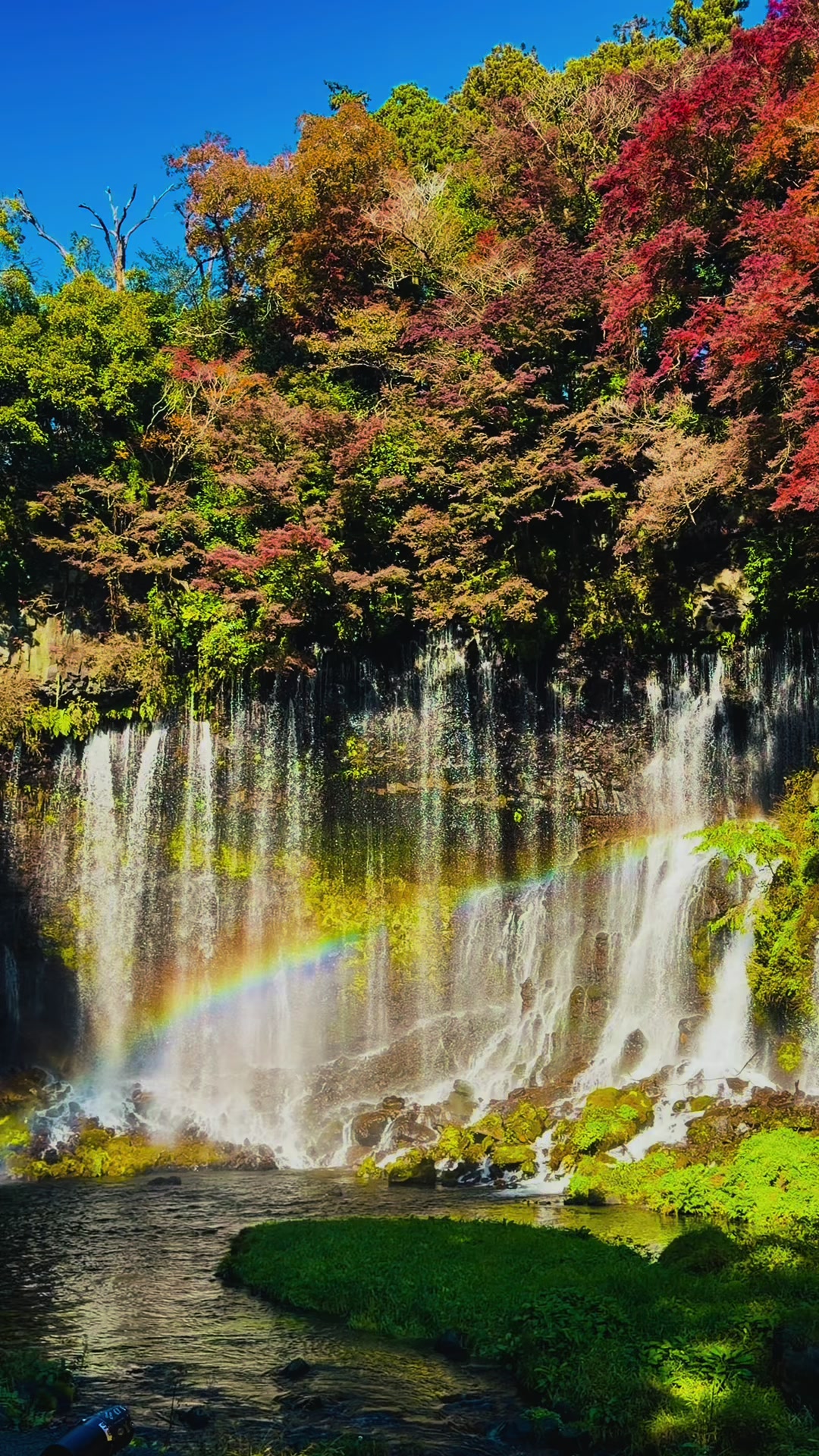 @NihonVoyages