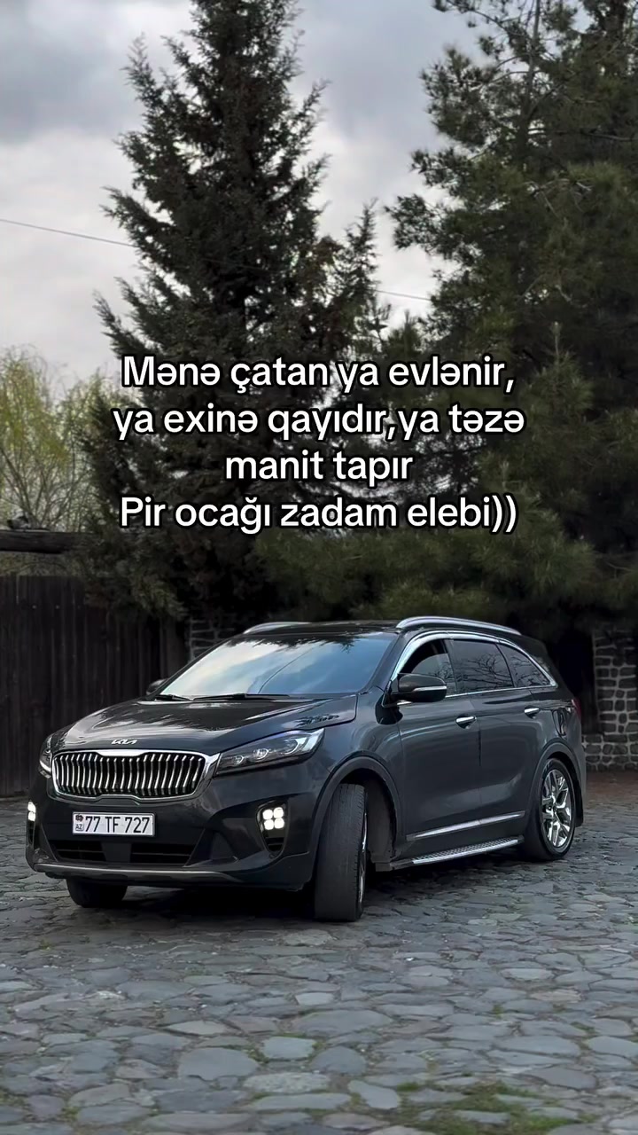 @Soltanows⚡️