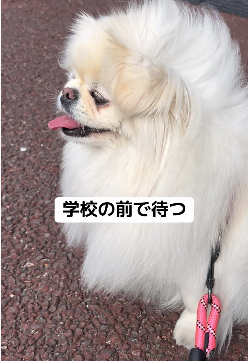 @なんこつ
