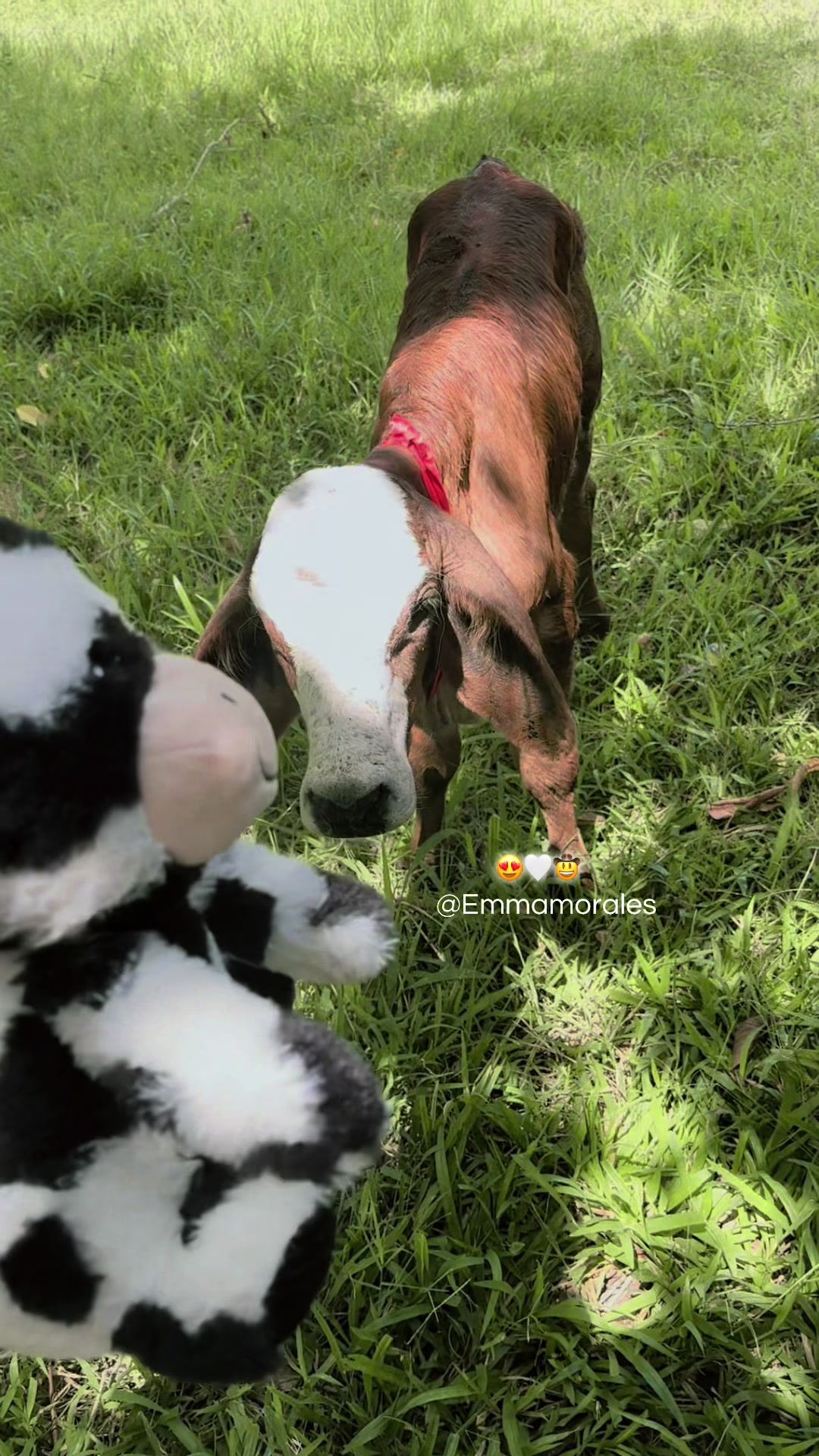 @𝐄𝐌𝐌𝐀 𝐌𝐎𝐑𝐀𝐋𝐄𝐒🤠🌻