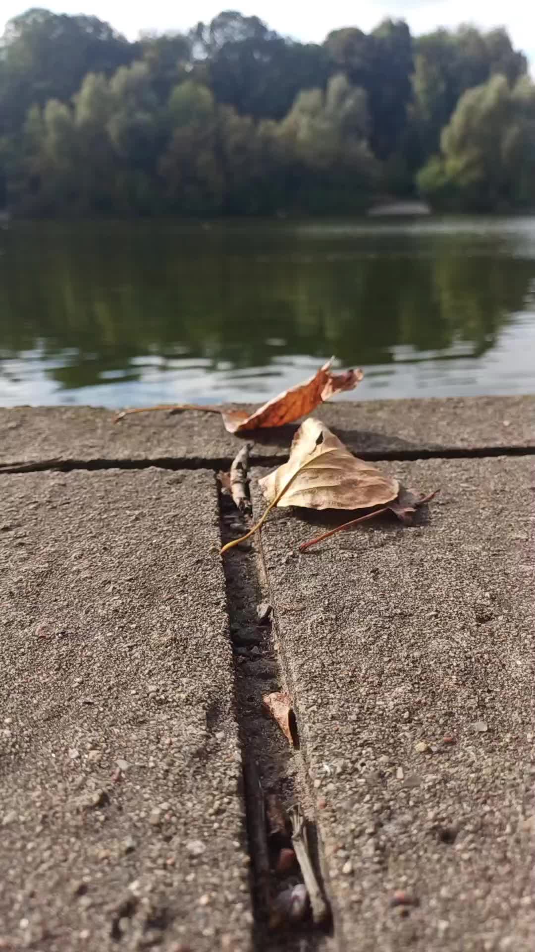 @Незабудка