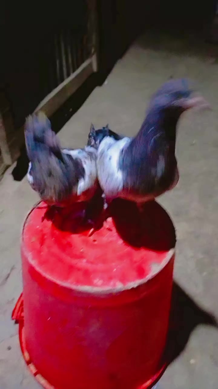 @ðžSouropðž