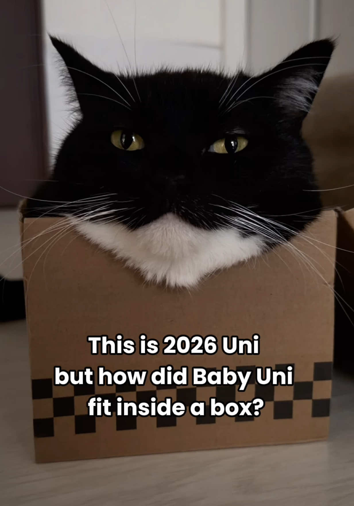 @I’m Uni.