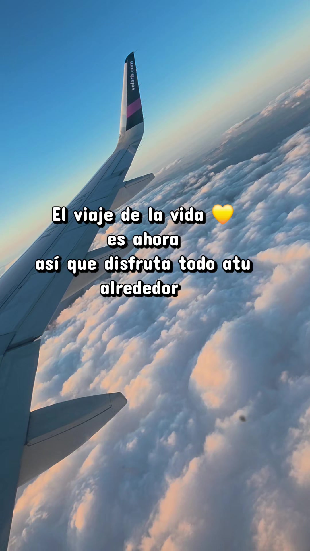 @adrish
