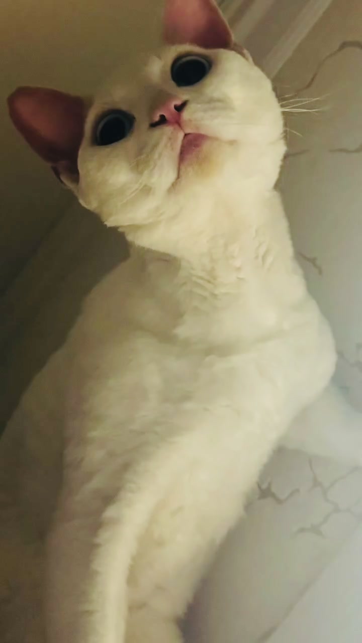 @Лев 🦁 Скавронский❤️