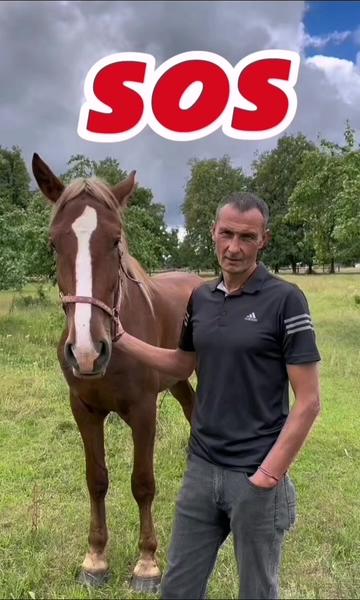 @КК "Фриз"🏇