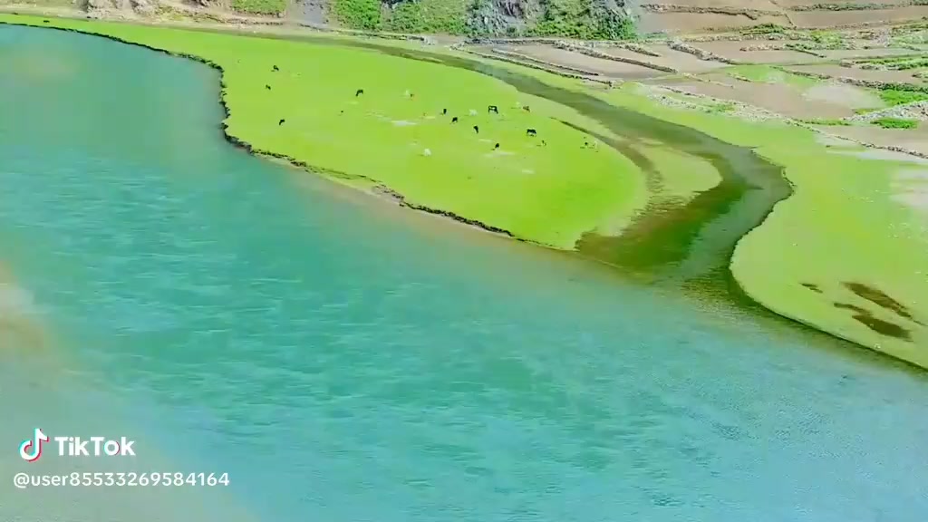 @ثاقب گُجر