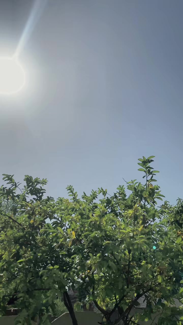 @𓆩ⁱⁿᘔIᗷᗩᗷᑌ𓆪ꪾ💀