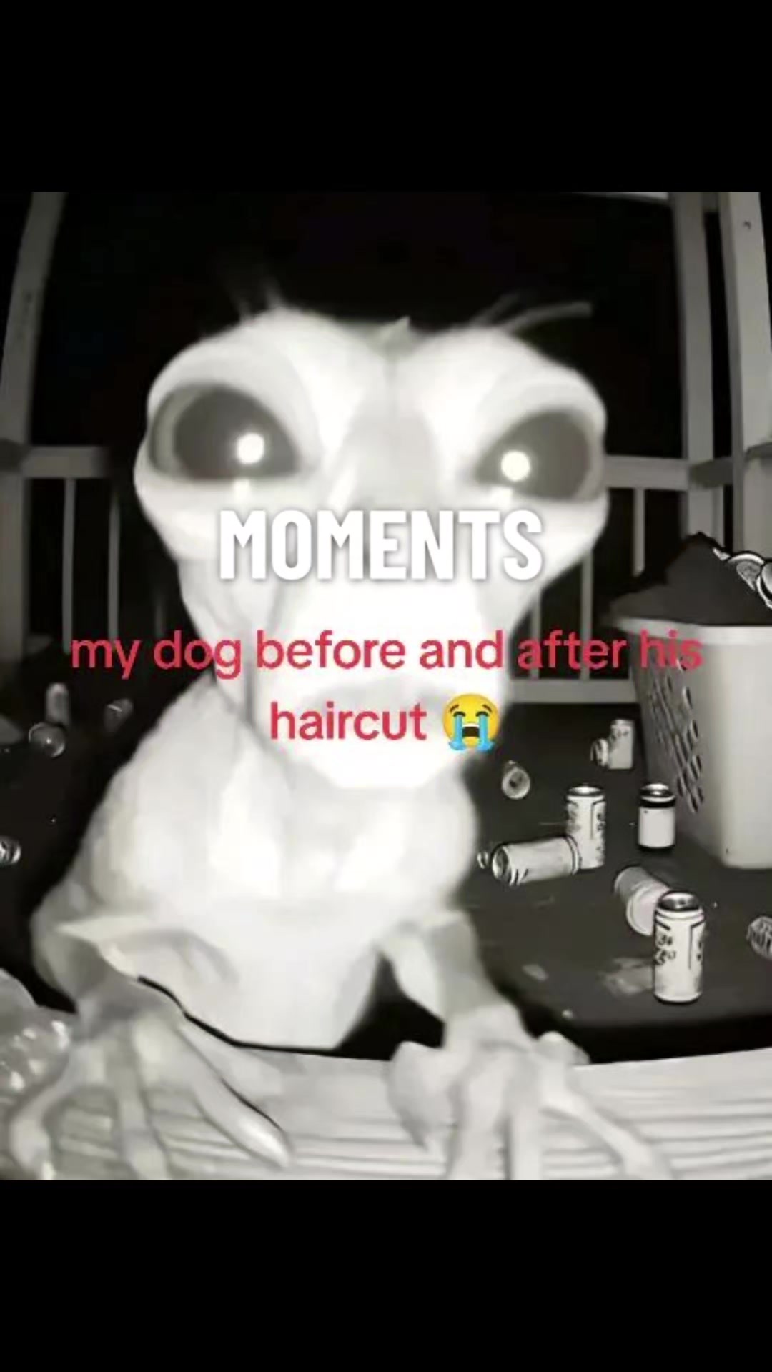 @🧼🌈🩷🐢 Uriel🐢🩷🌈🧼