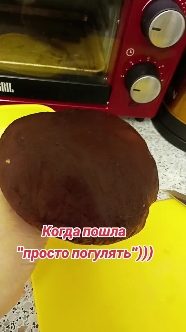 @user2278096979685