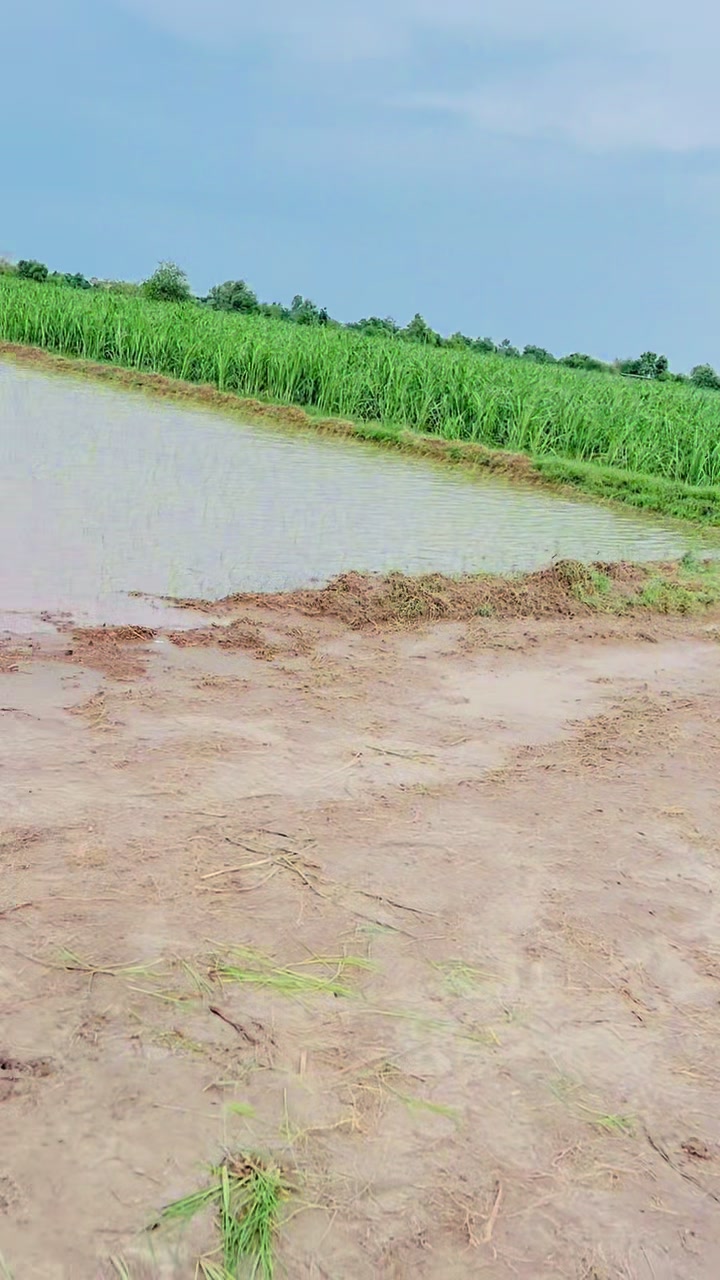 @رائے صدی احمد کھرل 🔥🔥