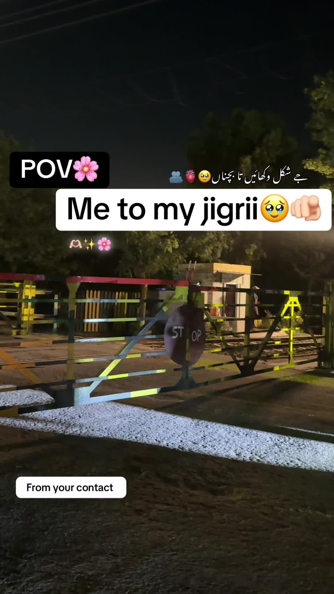 @Punjabi On 🔝