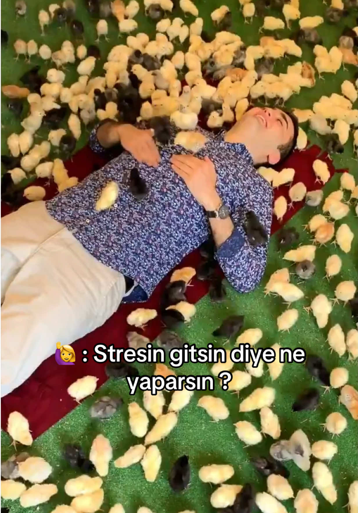 @cznburak