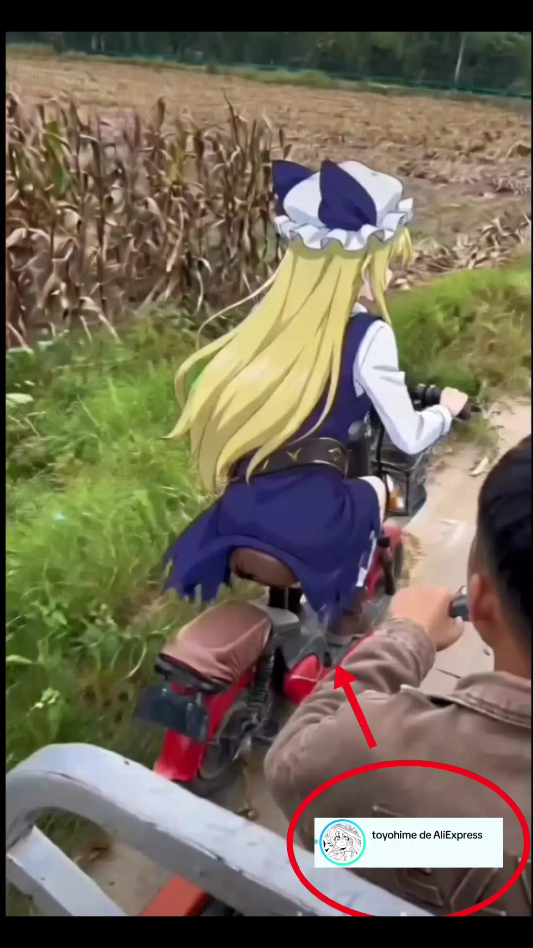 @Hoktohokk