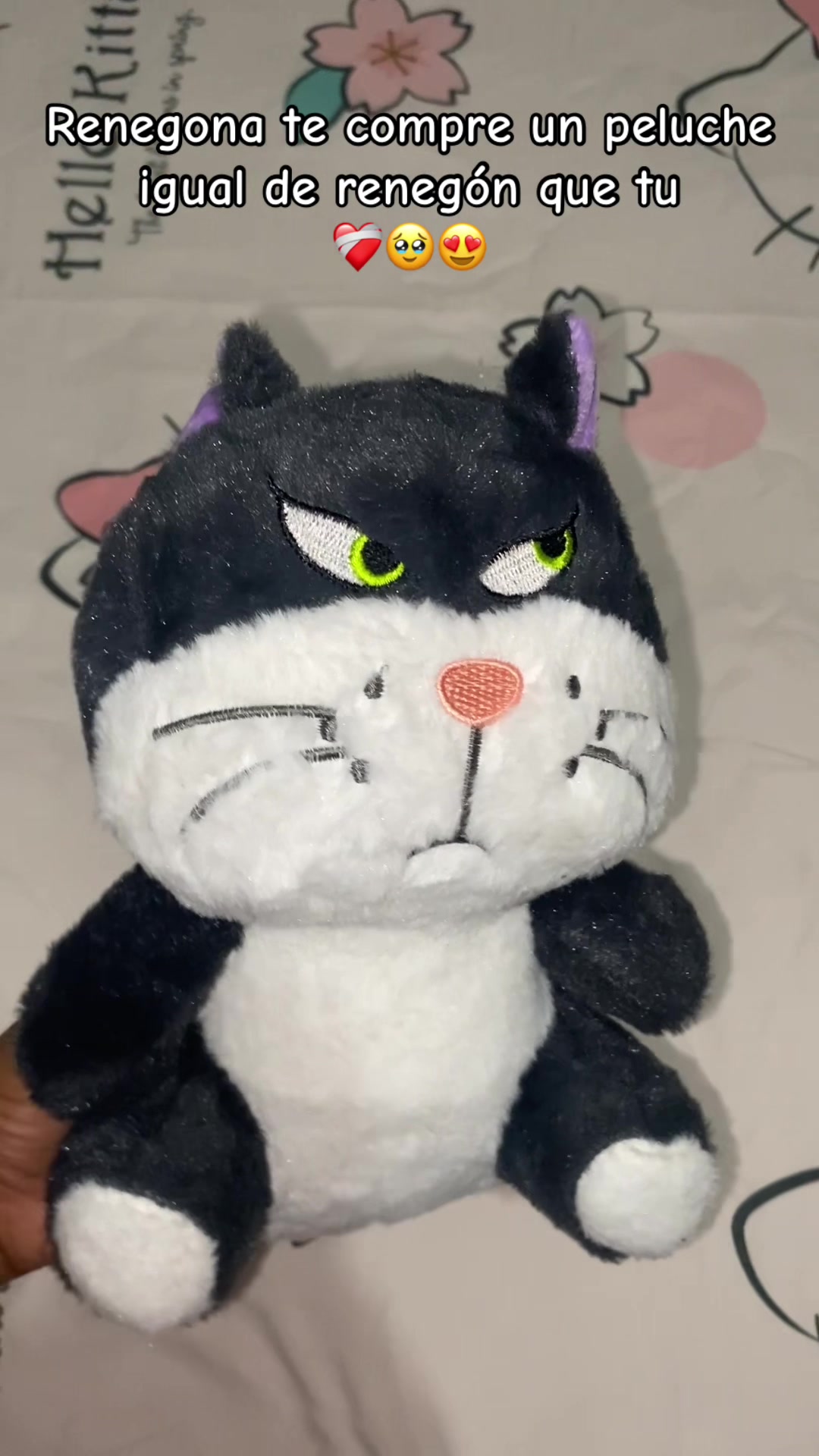 @Hello Kitty💗
