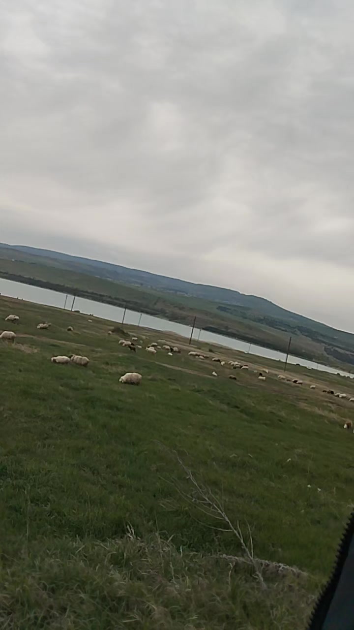 @sen senol mene ilişme