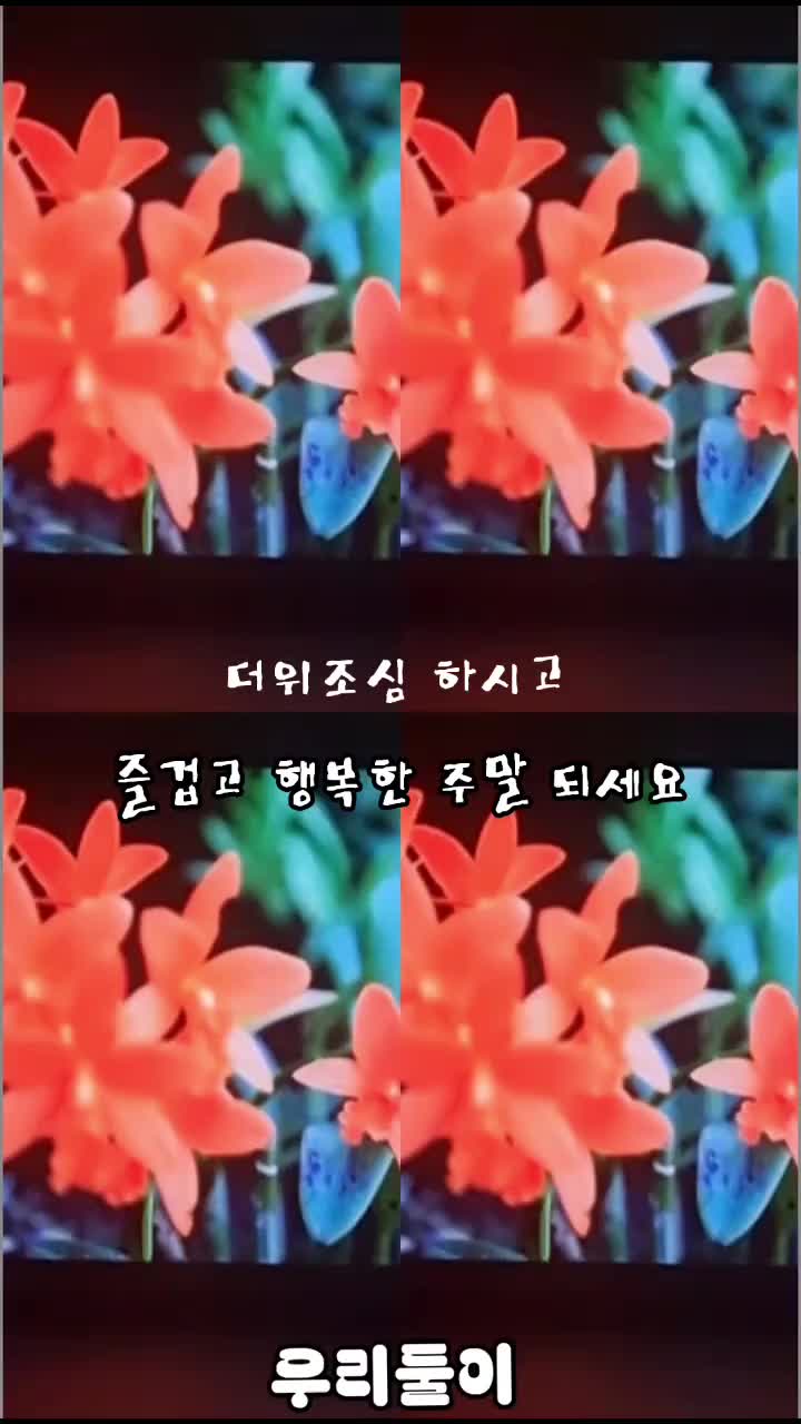 @써니케이