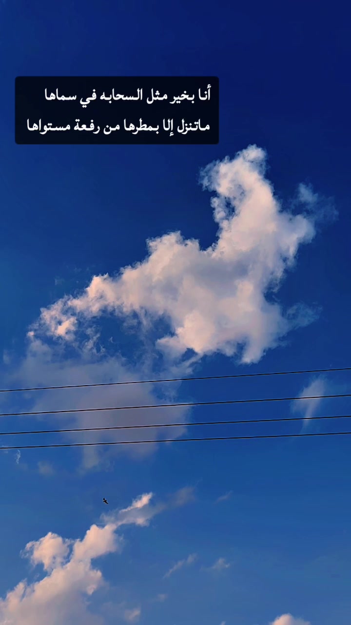 @دلال السبيعي
