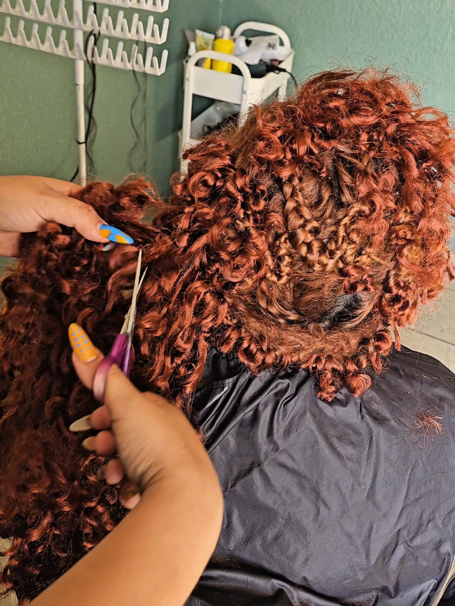 @ItzelbraidsTJ