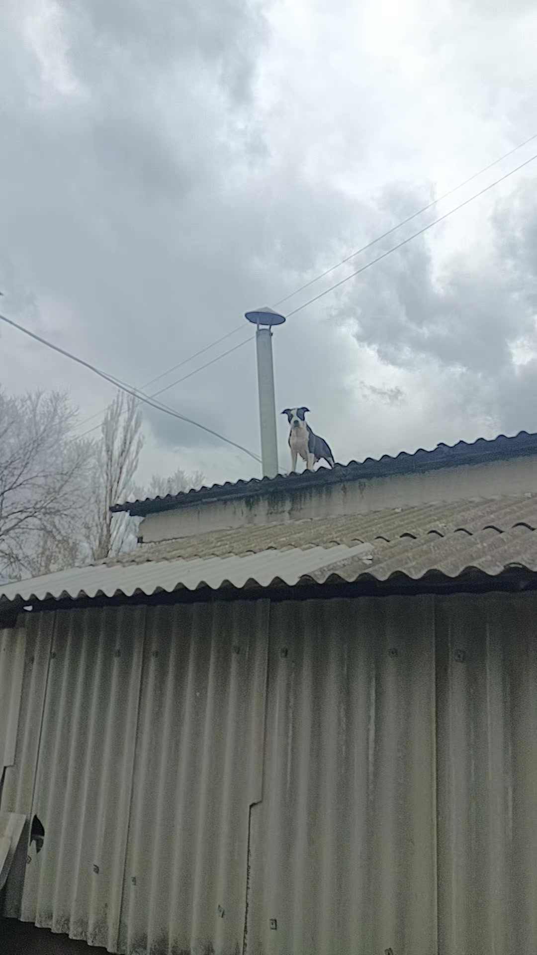 @Yakut опять тут