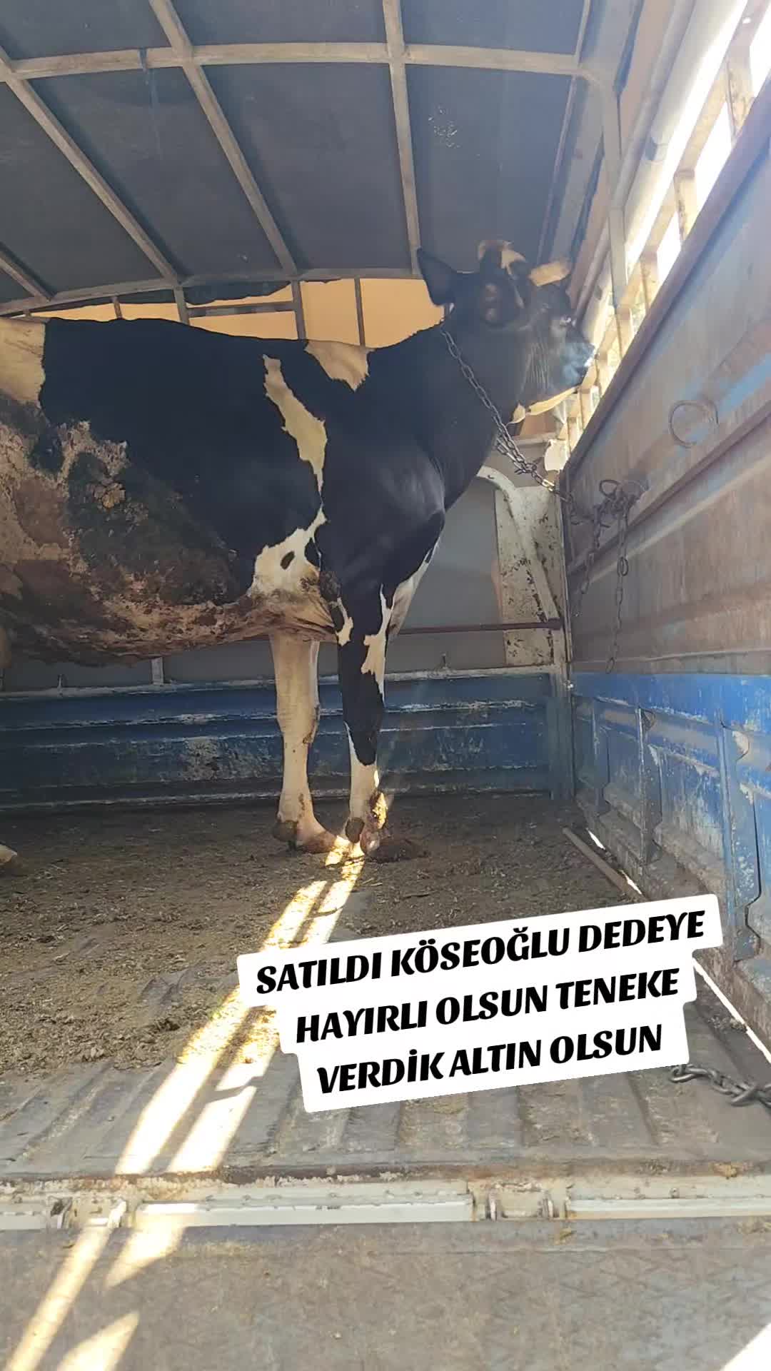 @ADAKCI CUMA