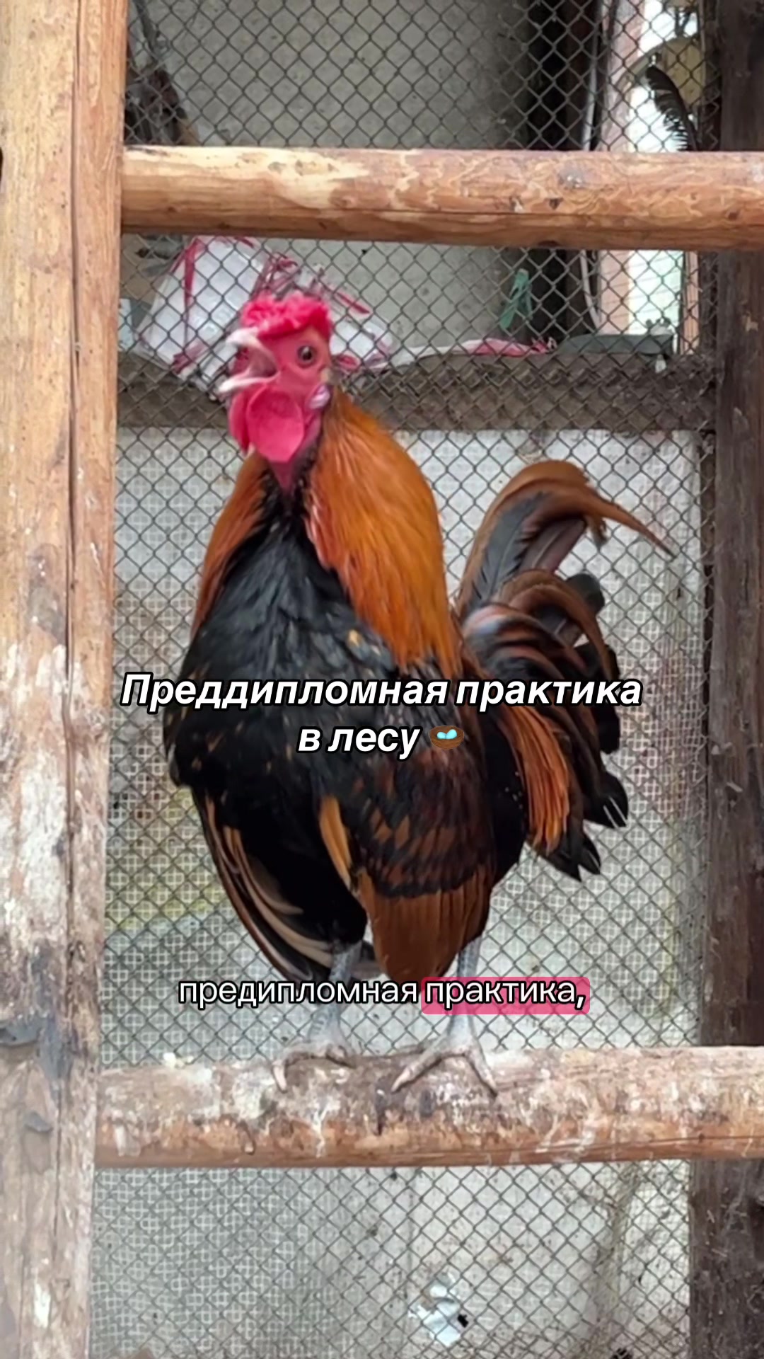 @ЕКАТЕРИНЦЫЯ