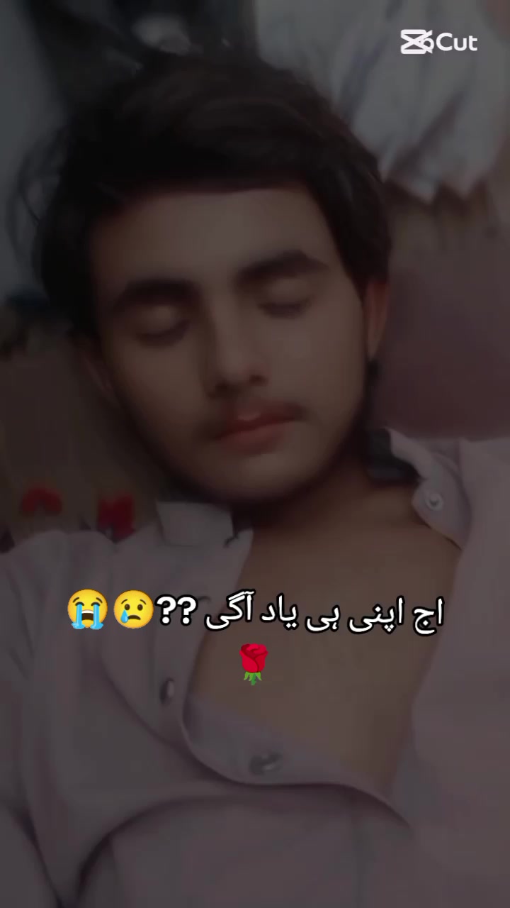 @ٽنڊي باگي جو شھزادو اللہ بخش🥀