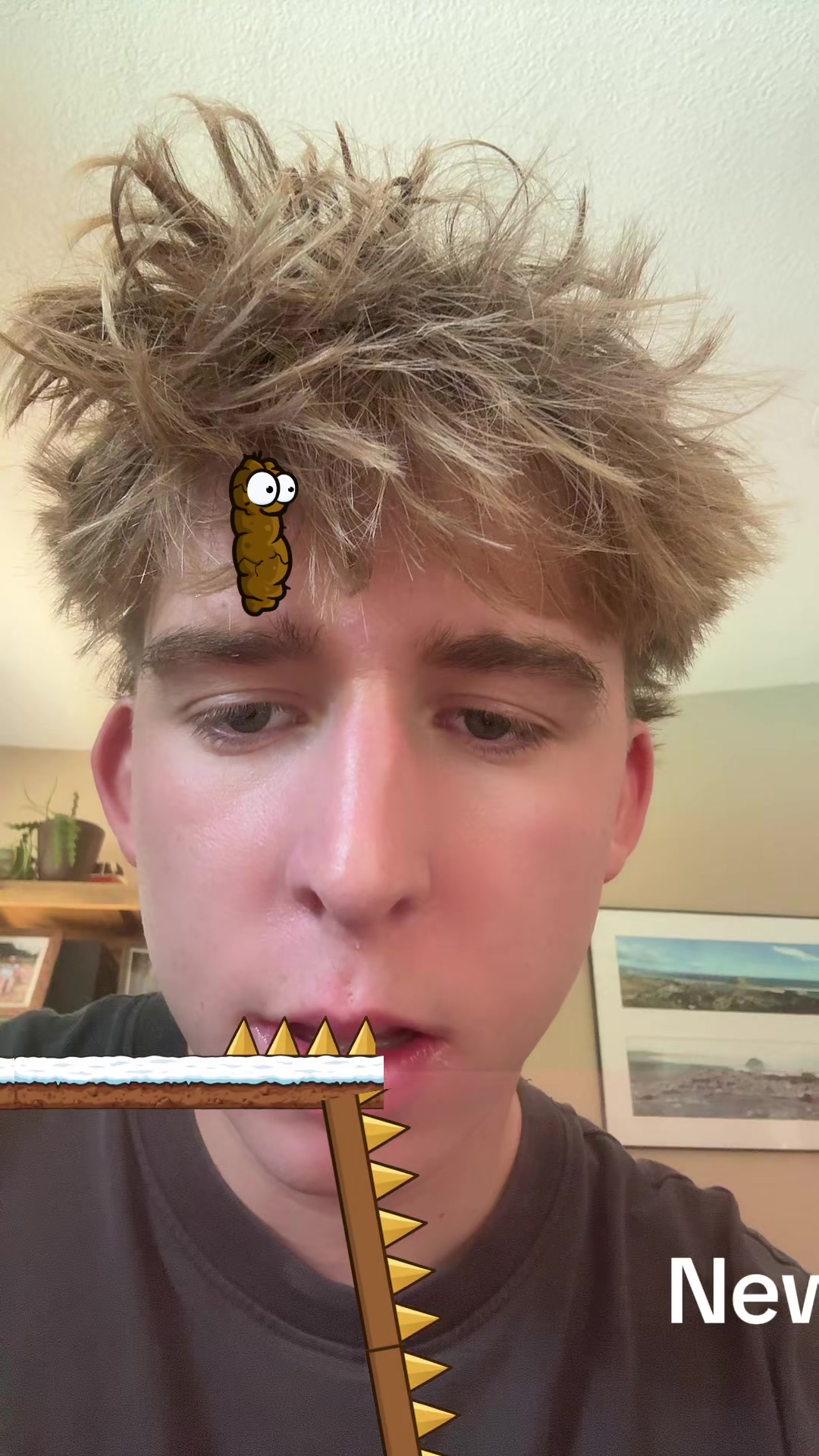 @TikToker