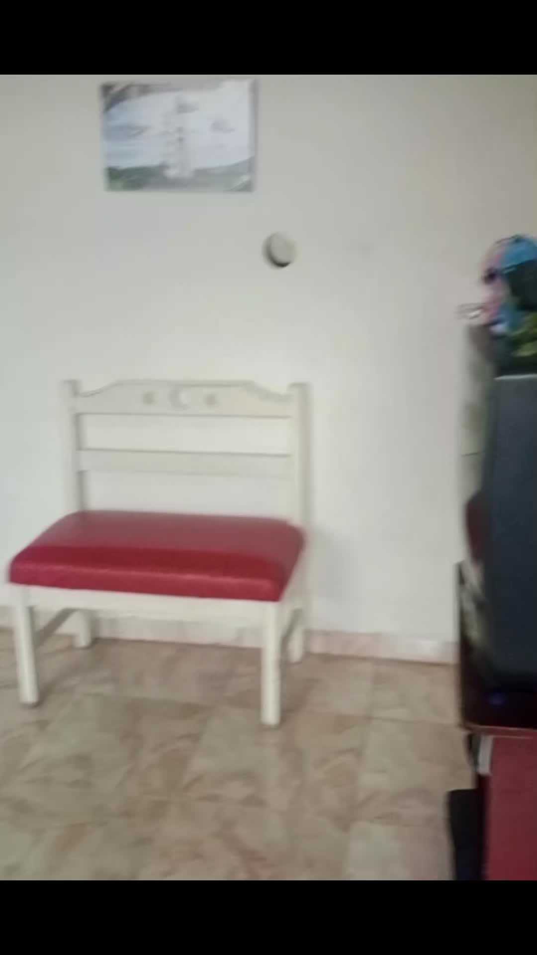@PIRIDAVIDOFICIAL