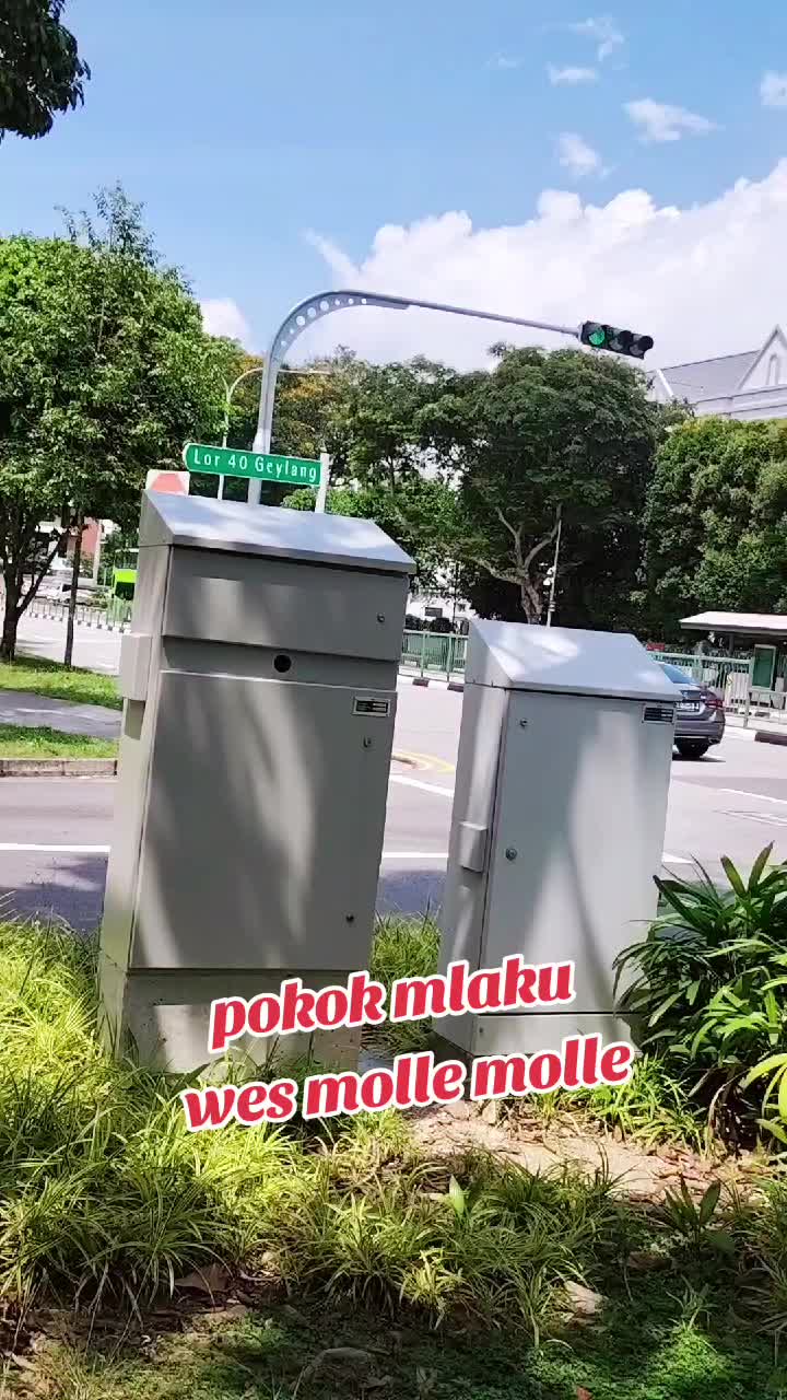 @๐ฎ๐ฉ โฆ๐พ๐๐๐๐๐ผโฆ ๐ฎ๐ฉ
