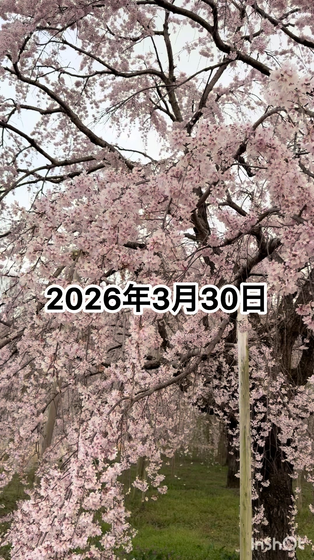 @ミウラ&bull;リョーコ(イーツカ&bull;リョーコ)