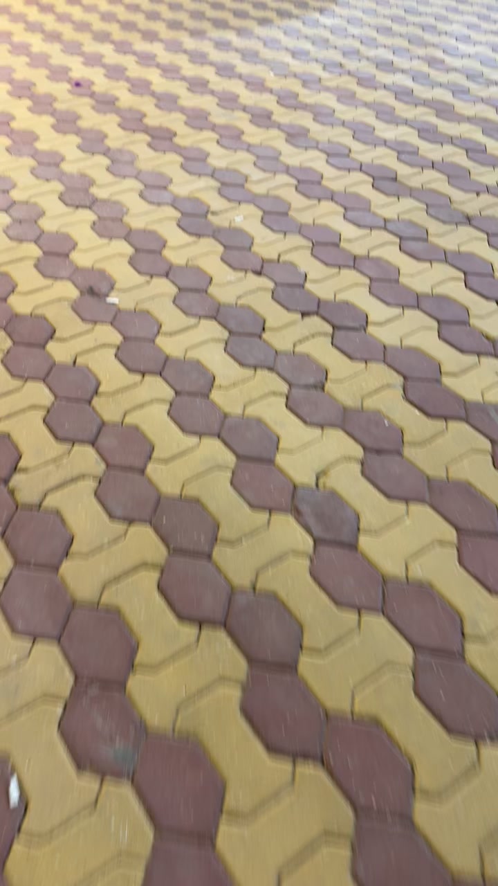 @🪡