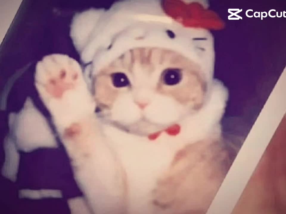 @โ๏ธ^๐๐๐ฃ-๐๐๐ฃ ^๐ซ