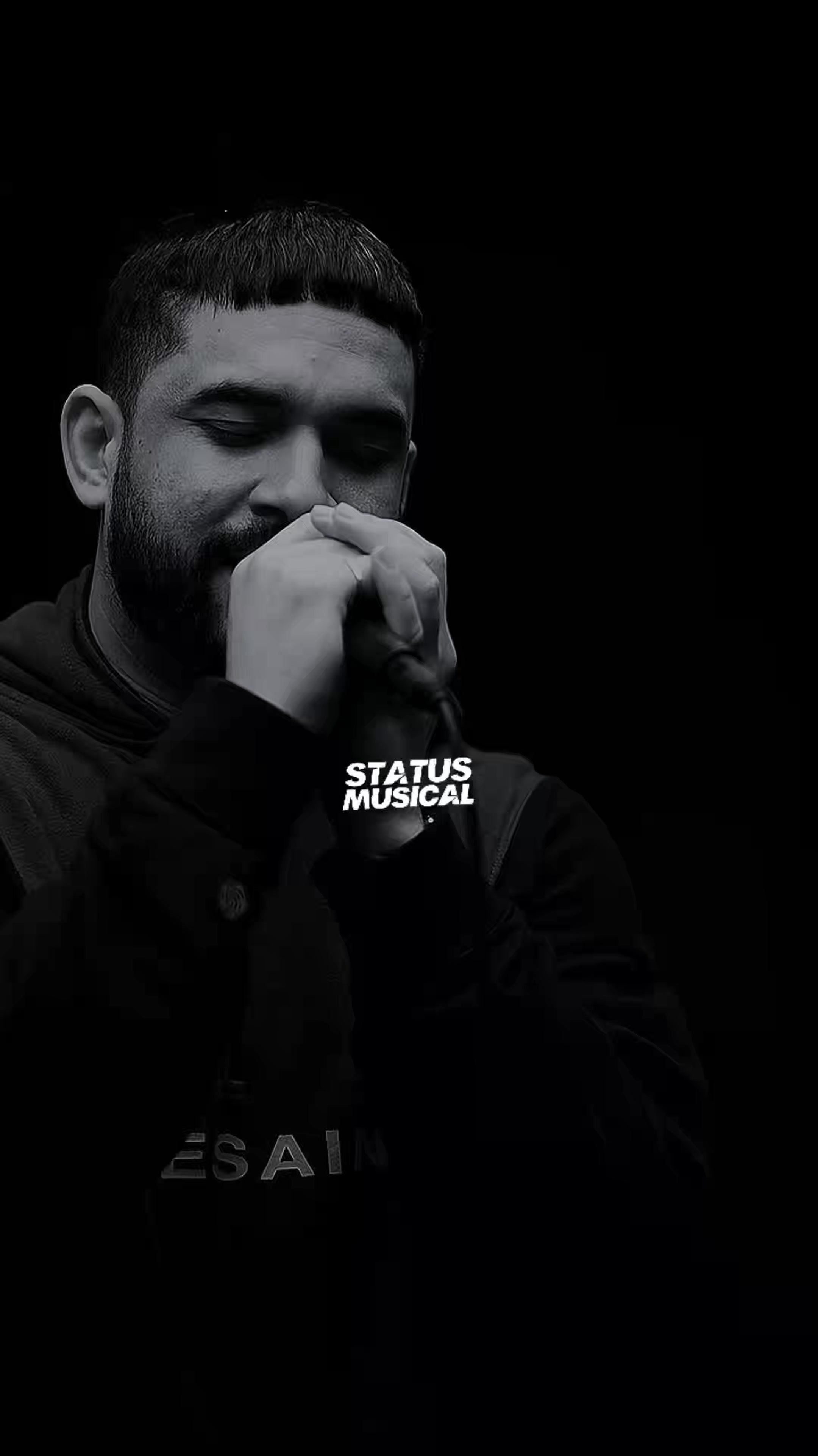 @STATUSMUSICAL &reg;