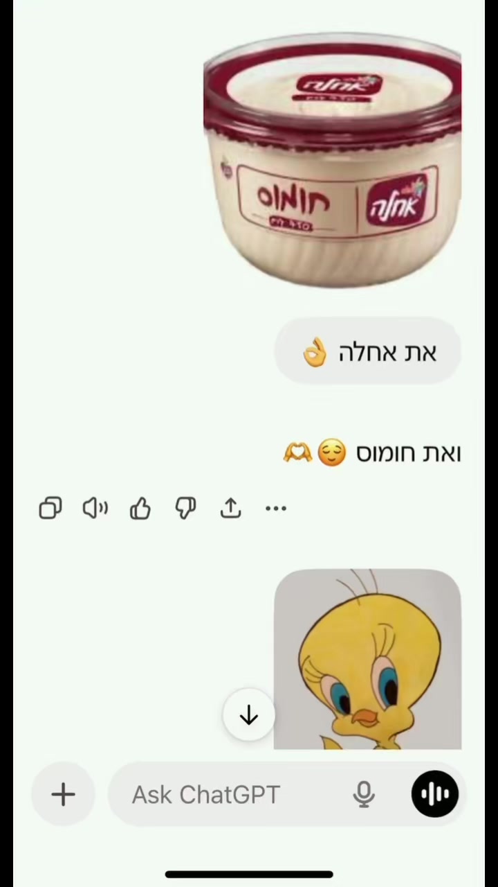 @danashirizli