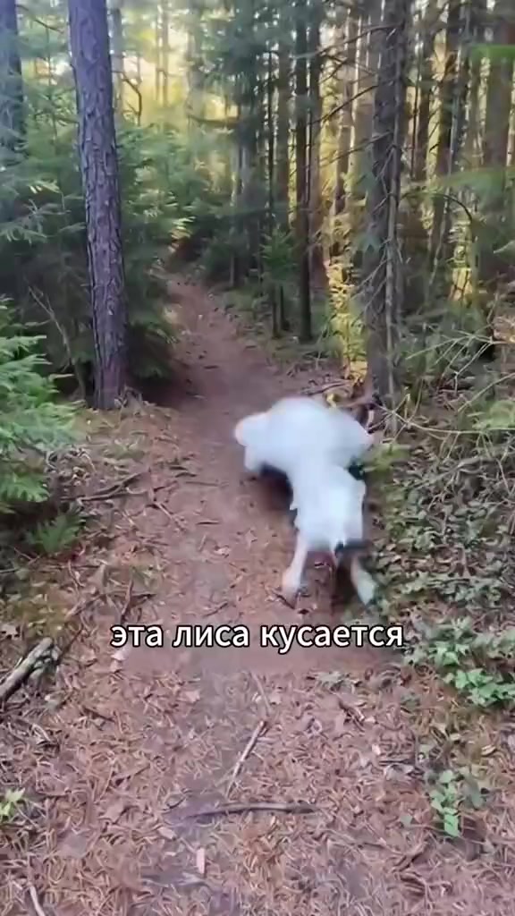 @Александр Киселёв