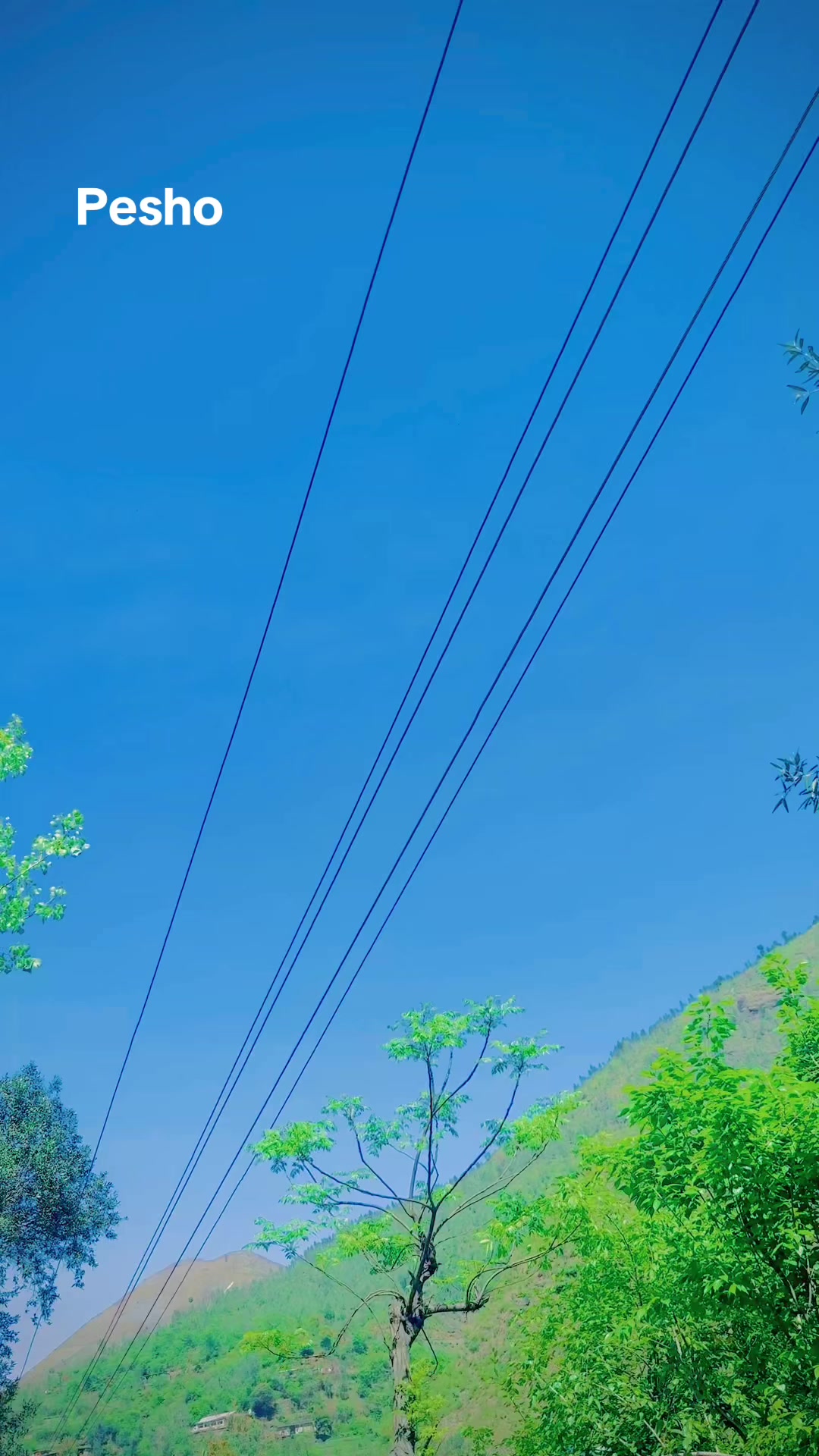 @✅💲🔛بادشاہ🔛💲✅